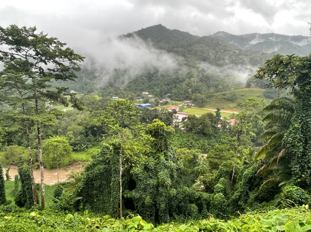 Kiulu Farmstay主图