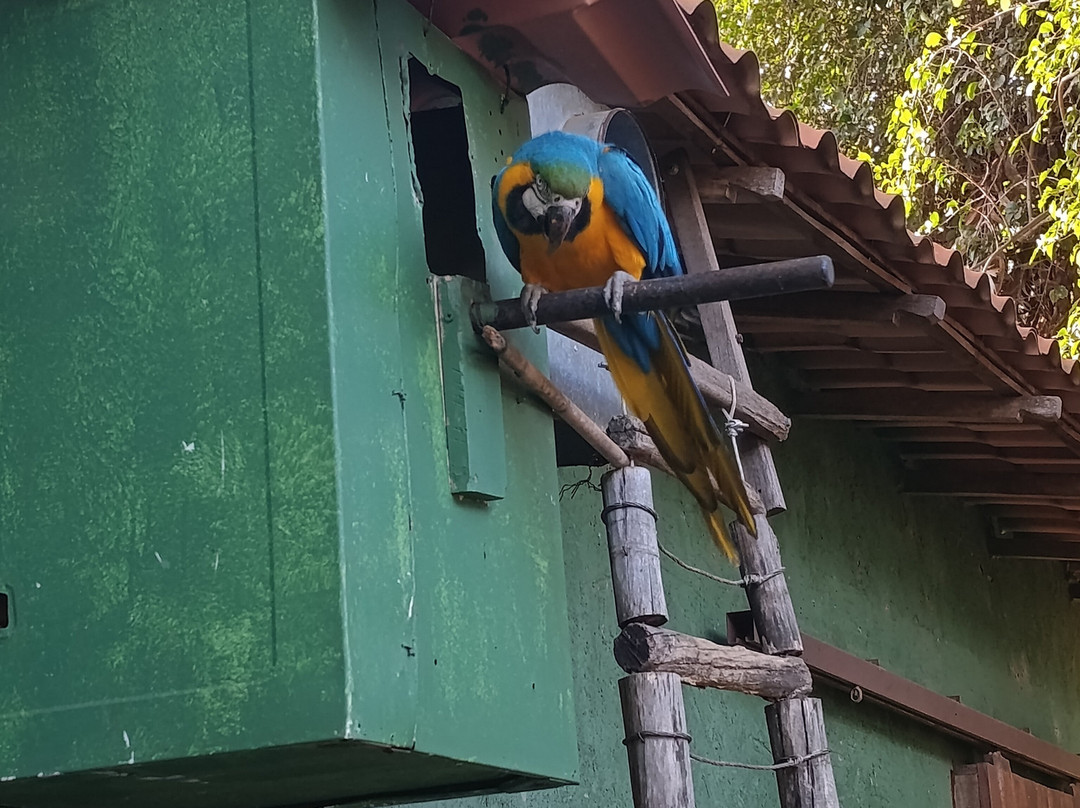 Chapada Imperial-Brazlandia必去景点