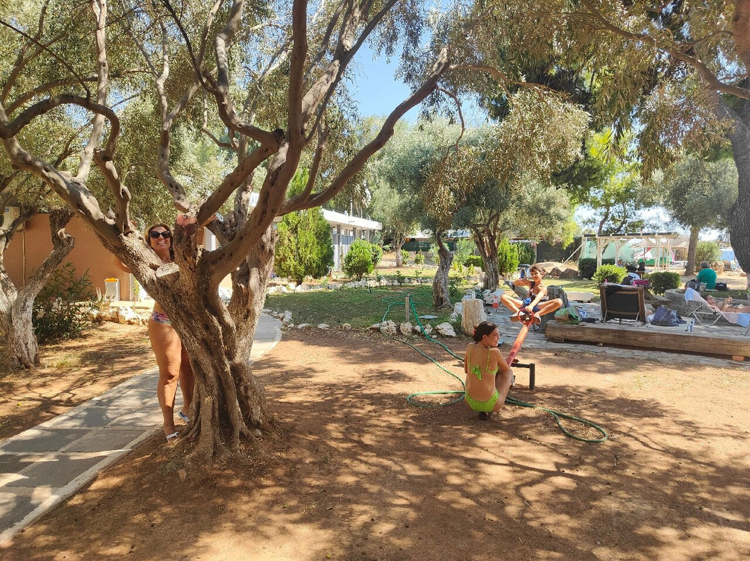 Vouliagmeni Beach-沃立歌美尼必去景点