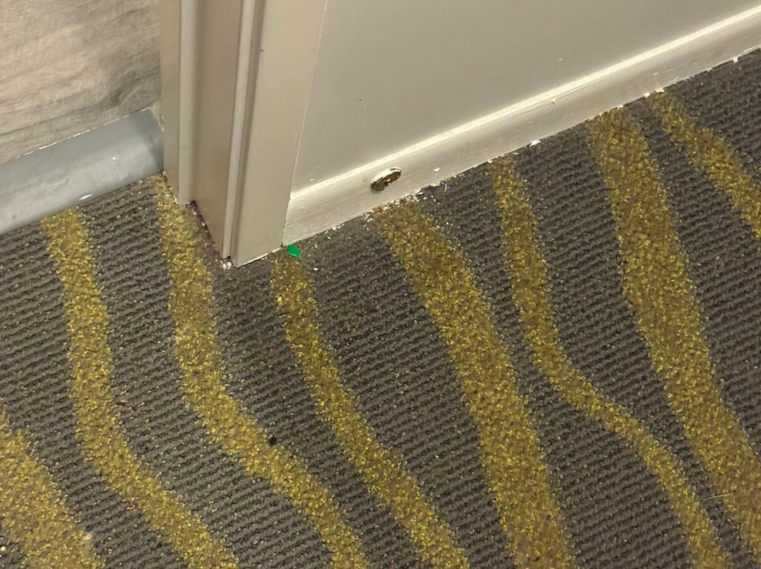 Atlantis Family Waterpark Hotel主图