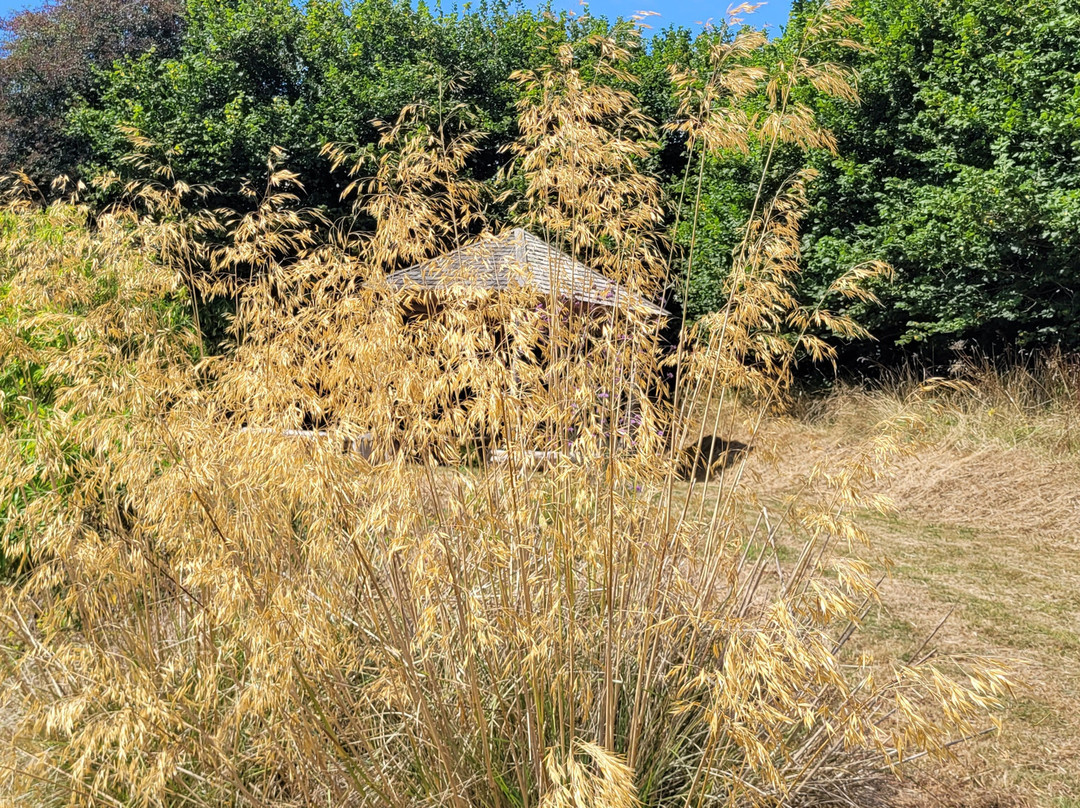 Fast Rabbit Farm Gardens-达特茅斯必去景点