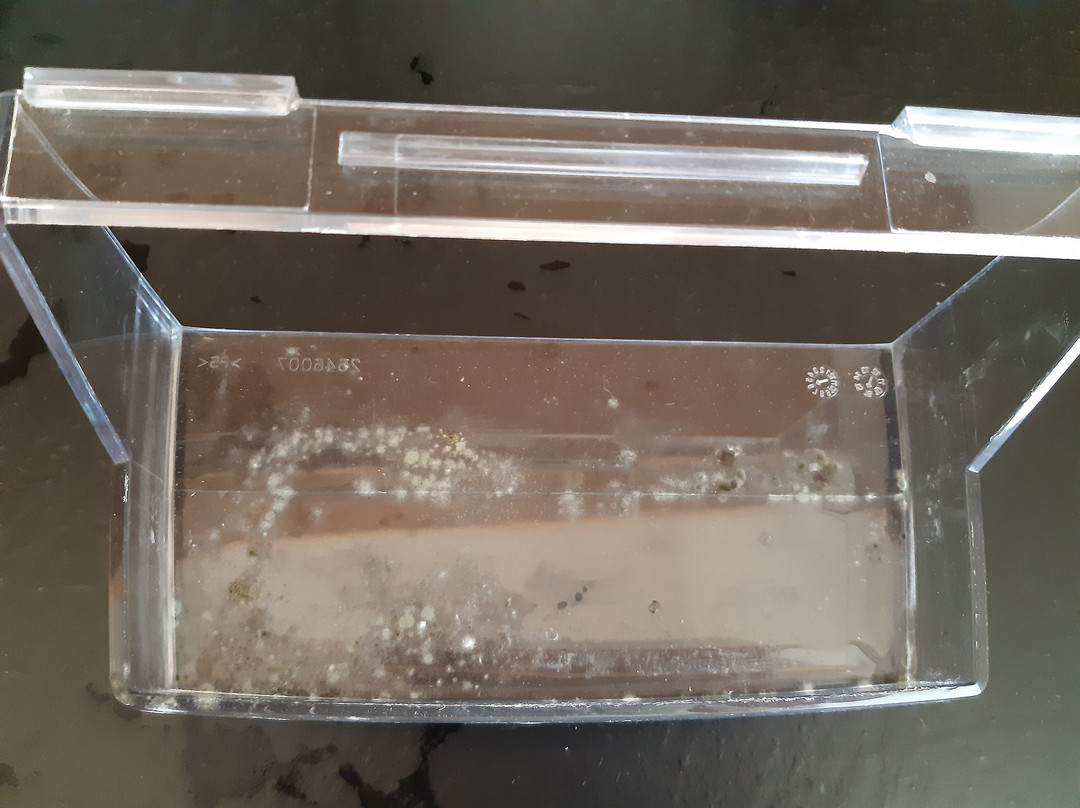 Hotel Klosterbraeustuben主图