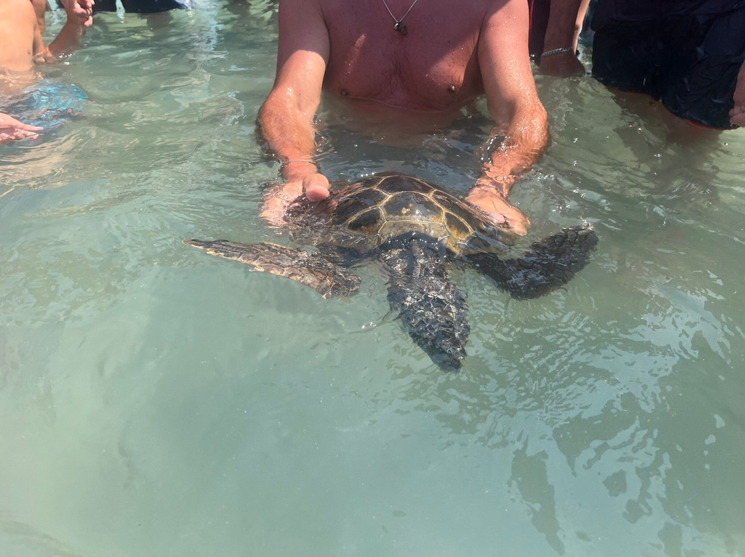 Spiaggia Porto Craulo-奥特朗托必去景点