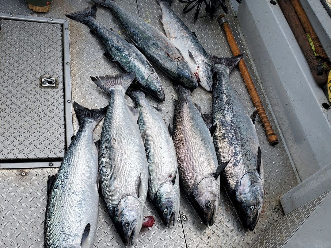 Wildfish Charters-鲁珀特港必去景点
