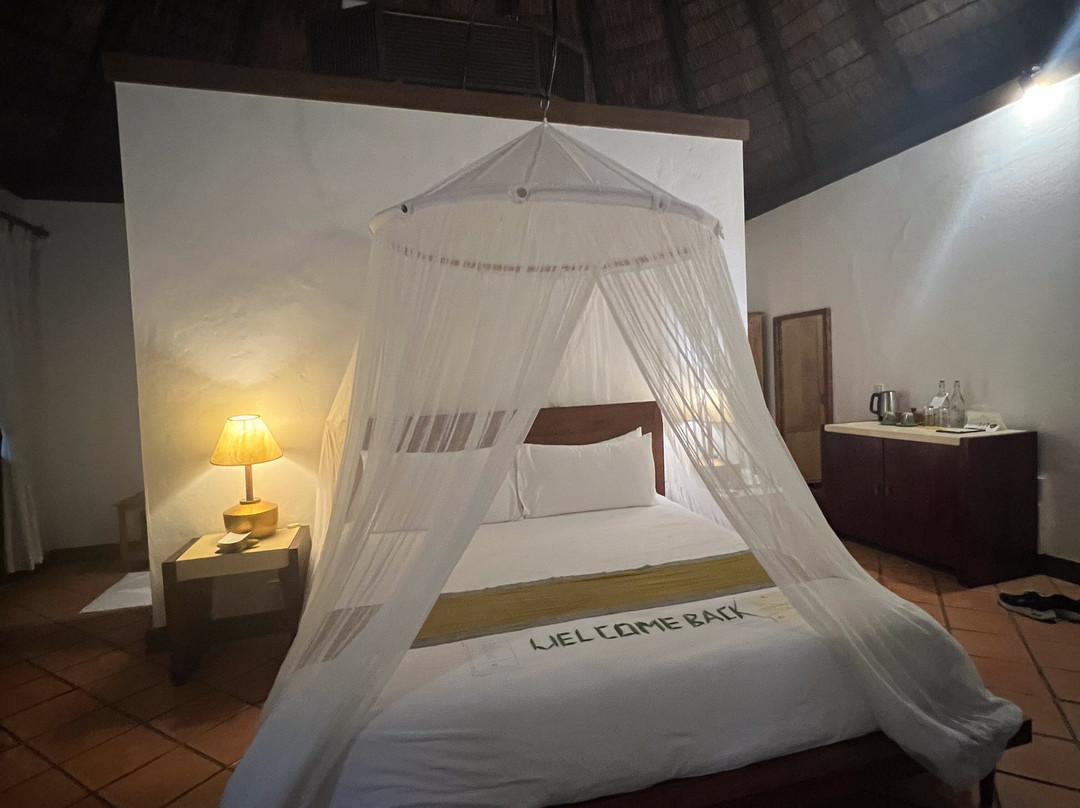 柯可棕榈杜妮科酒店主图