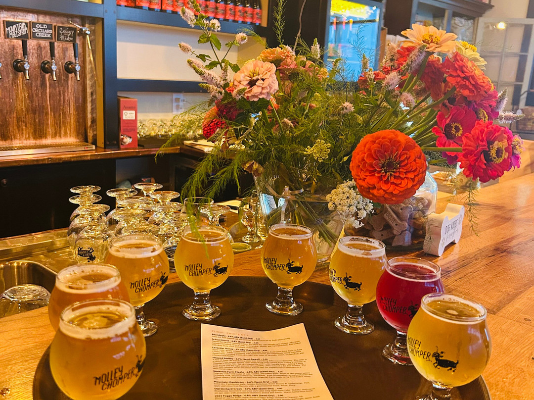 Molley Chomper LLC-Lansing必去景点