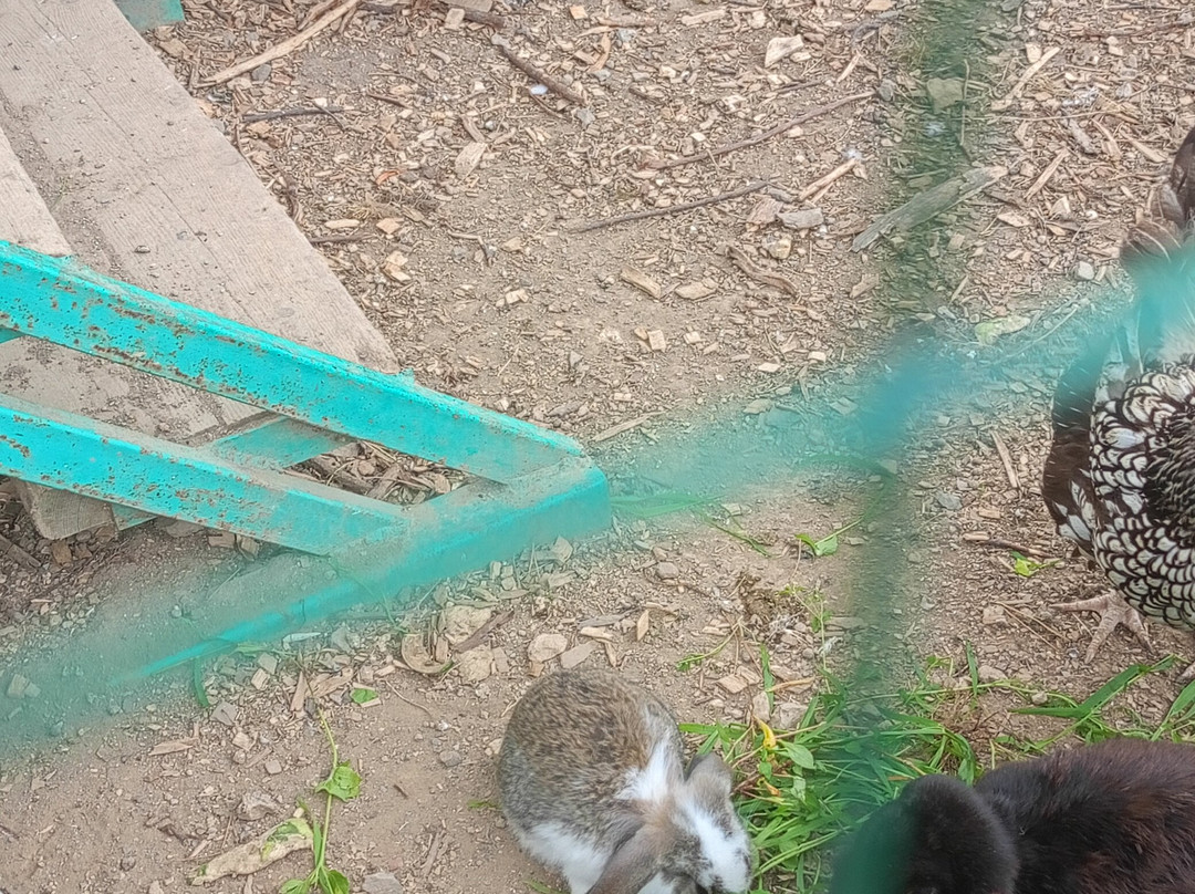 Botanical Garden-Institute-海参崴必去景点