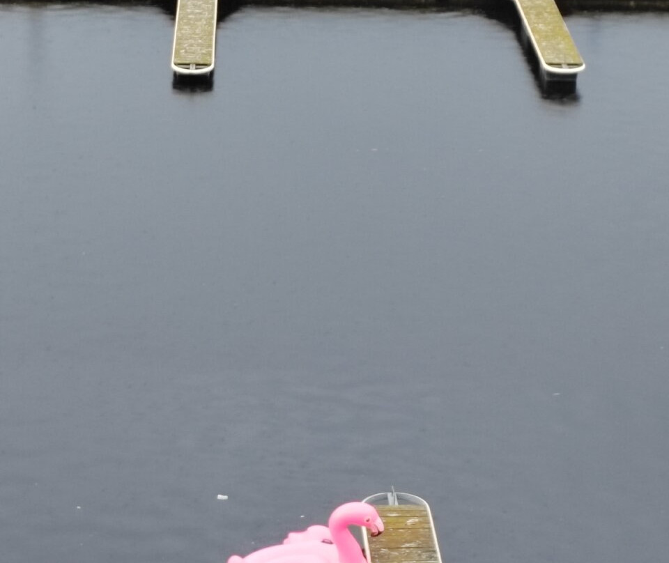 Terijoki Hotel & SPA主图