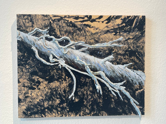 Kunstforeningen Gl Strand-哥本哈根必去景点