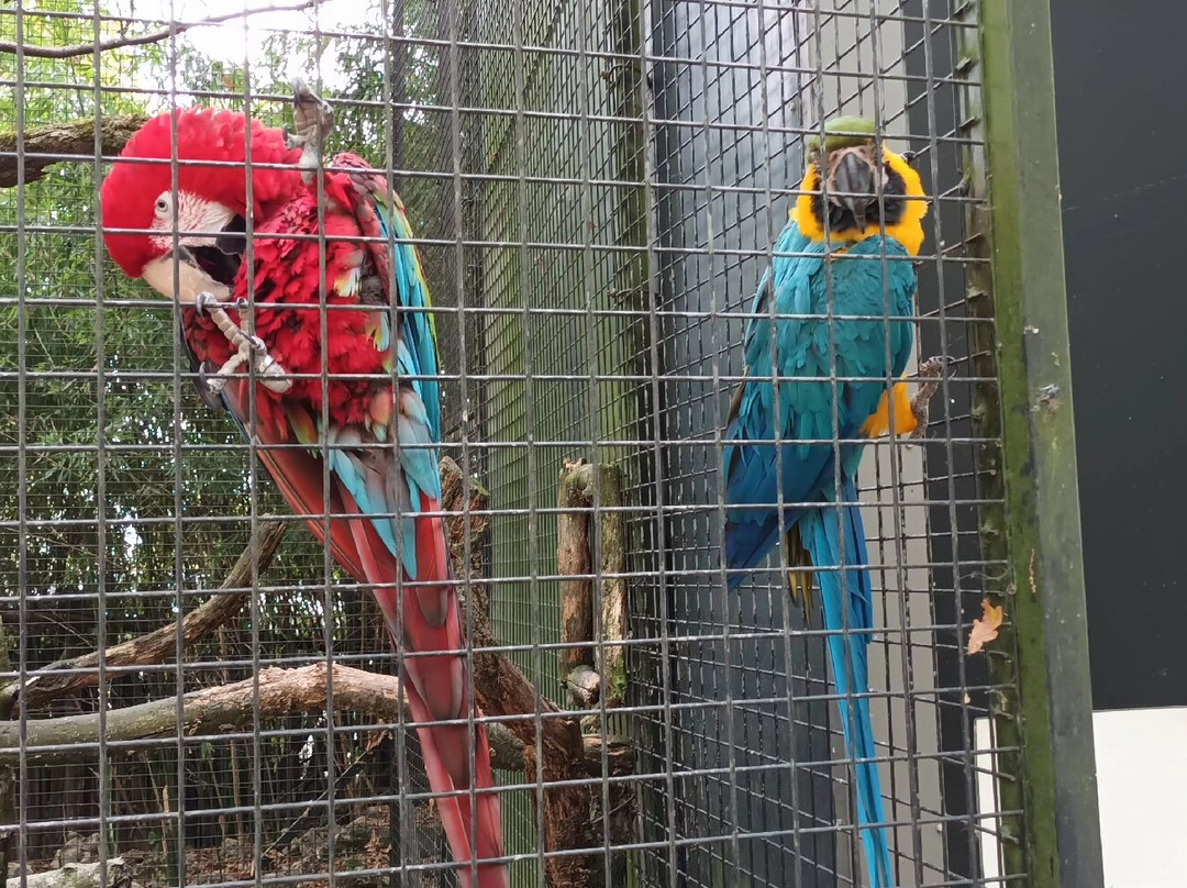 Z'animoland-Monbalen必去景点