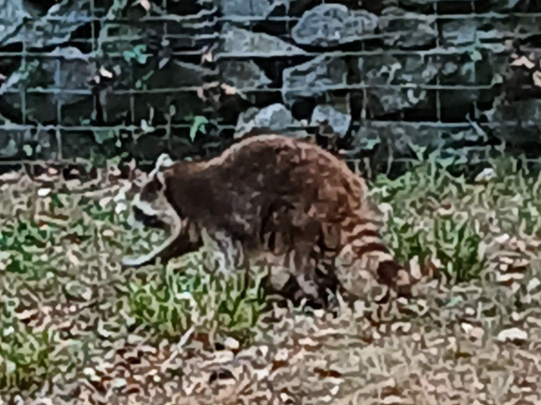 Zoodyssée-Villiers-en-Bois必去景点