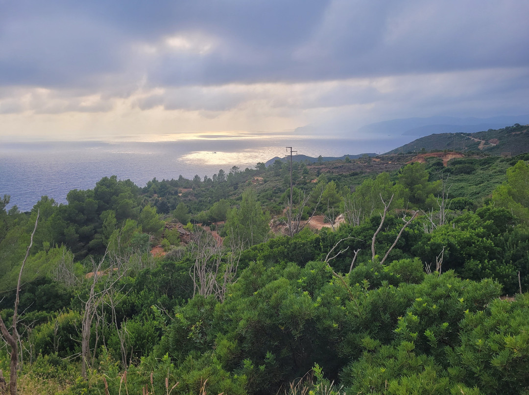 Bike Hub Tour & Rent Elba-Capoliveri必去景点