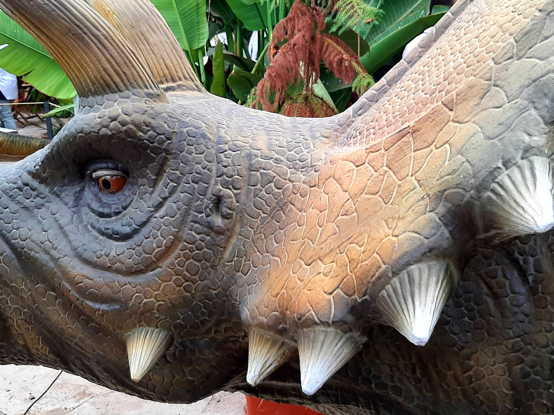 Dinosarium-Torreilles必去景点