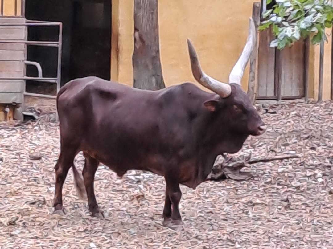 Z'animoland-Monbalen必去景点