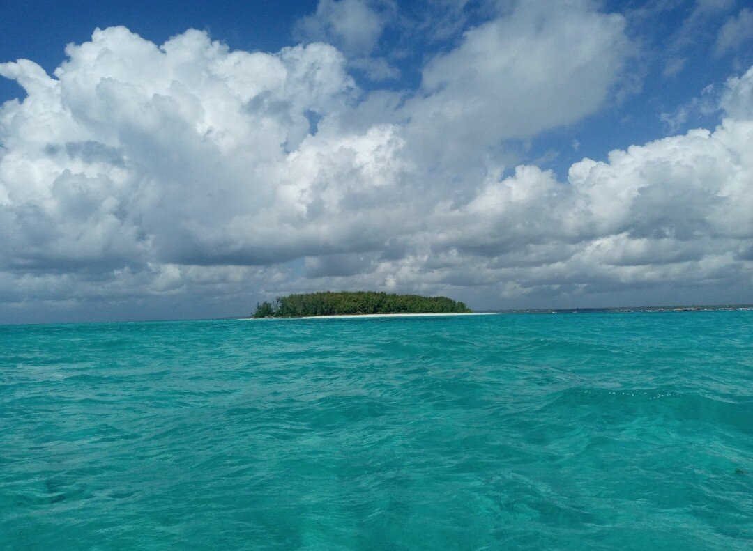 Nungwi Aquarium Adventures-孥归必去景点