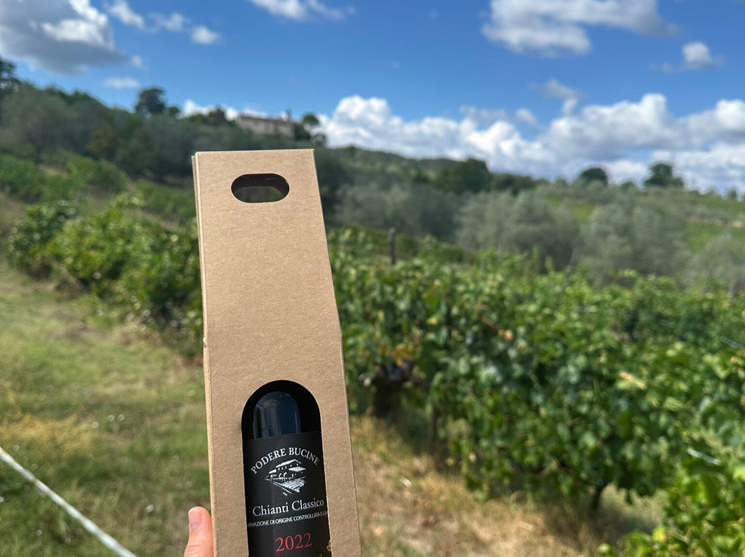 Podere Bucine Winery-格雷韦伊恩基亚恩蒂必去景点