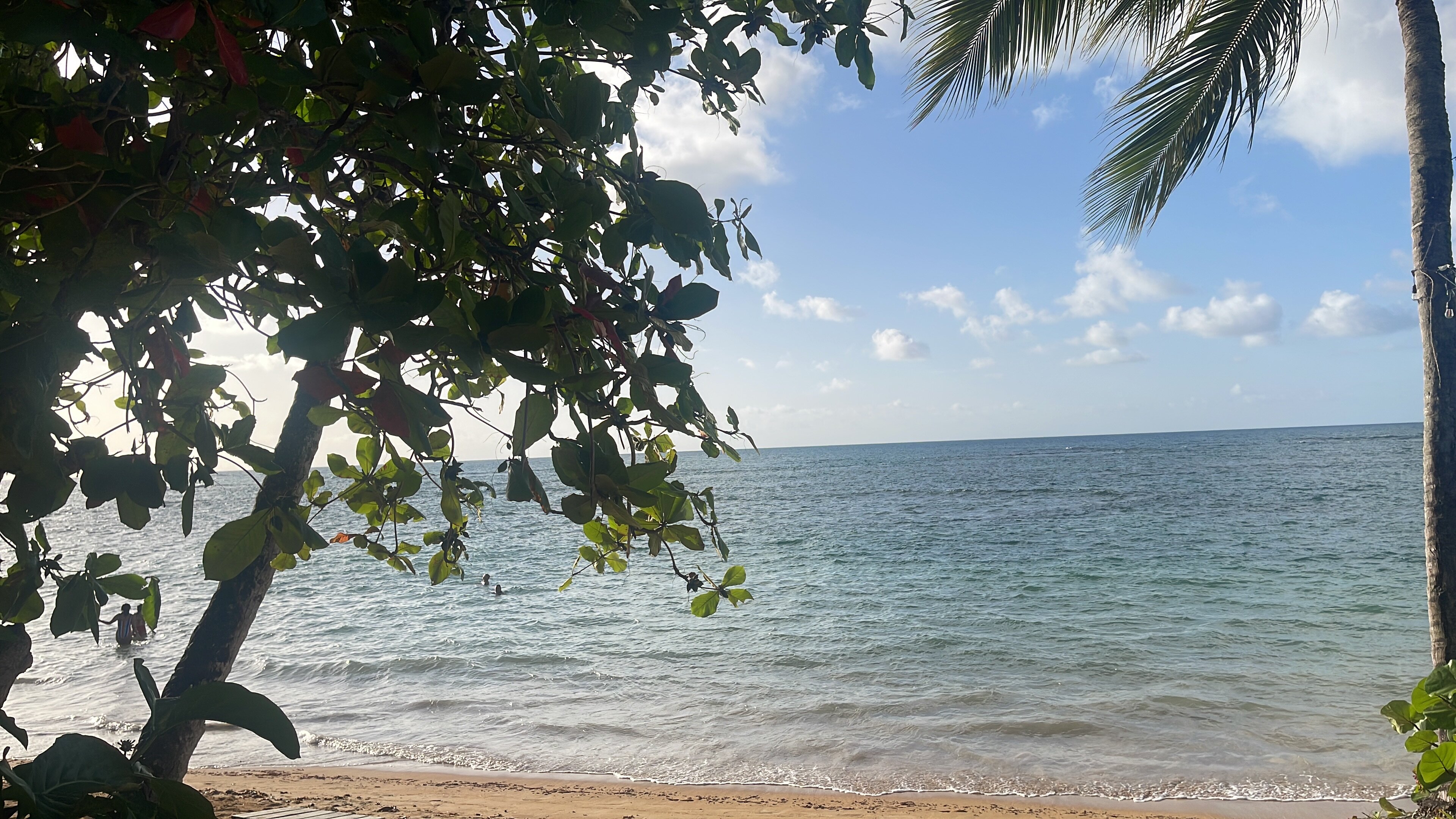 Xeliter Balcones del Atlantico - Las Terrenas-官方