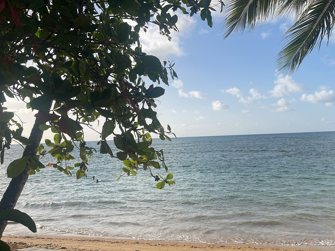 Xeliter Balcones del Atlantico - Las Terrenas主图