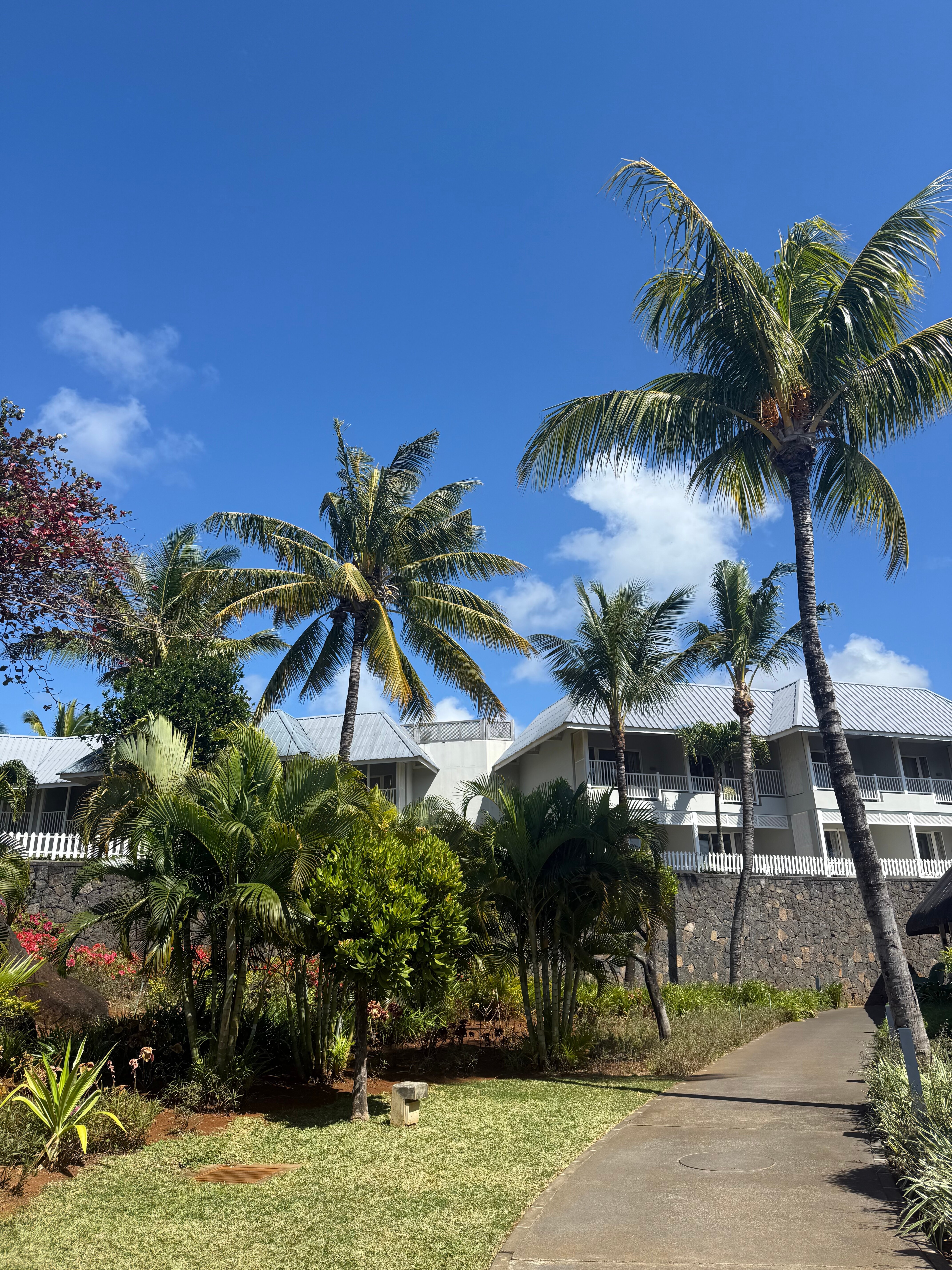 Radisson Blu Azuri Resort & Spa-官方
