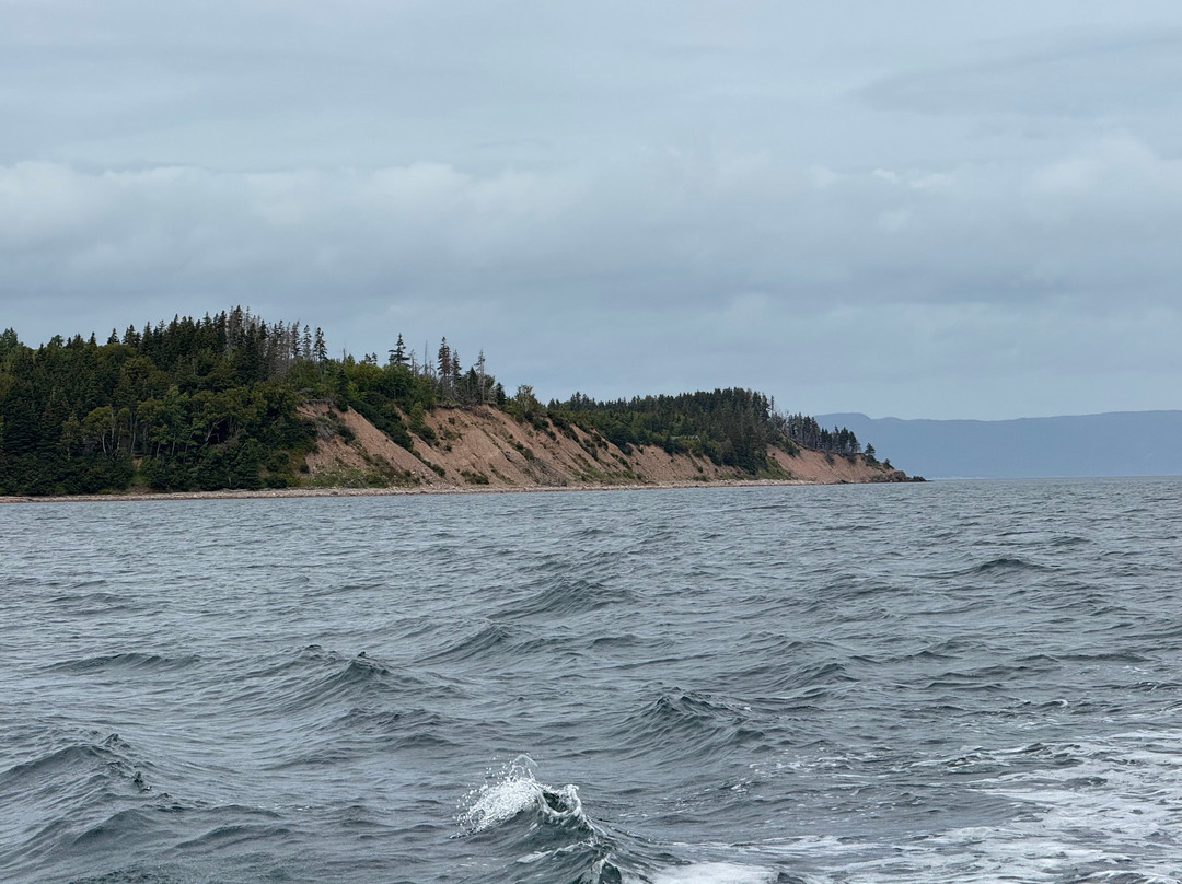 Bird Island Boat Tour-Big Bras d'Or必去景点