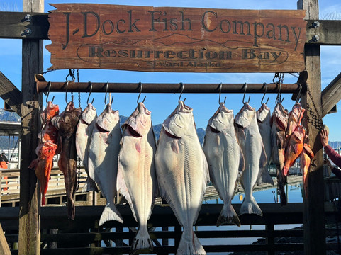 J-Dock Fishing Co.-苏厄德必去景点