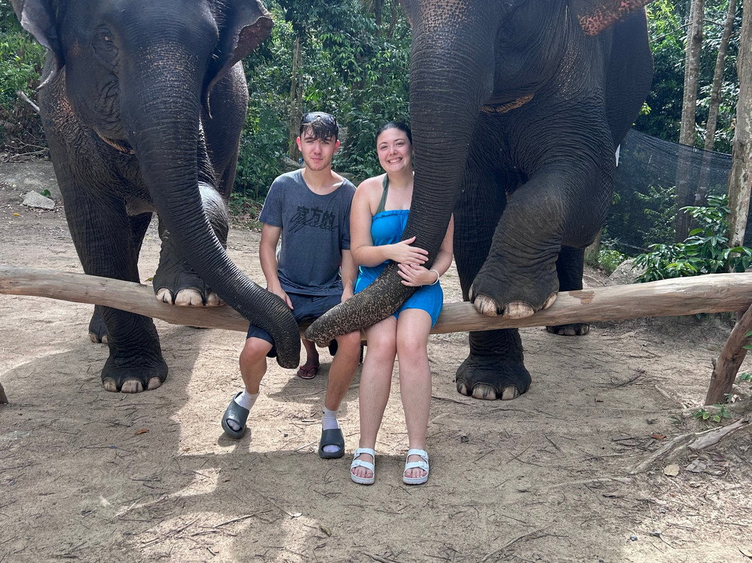 Elephant Care Samui-马叻必去景点