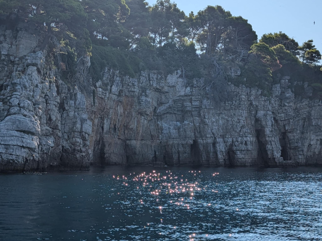 Toma Kalamota-Kolocep Island必去景点