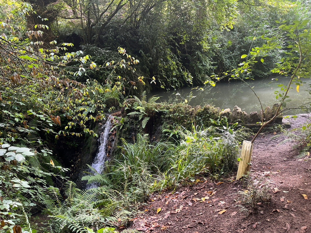 Ninesprings Country Park-约维尔必去景点