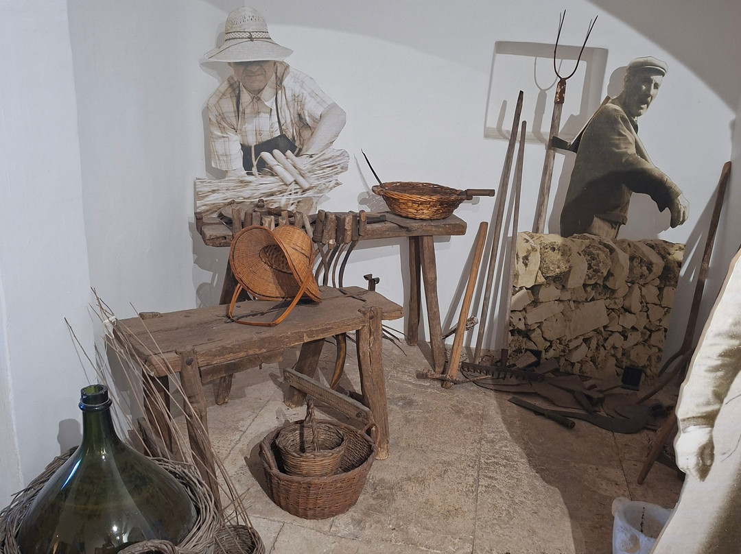 Museo del Territorio "Casa Pezzolla"-阿尔贝罗贝洛必去景点