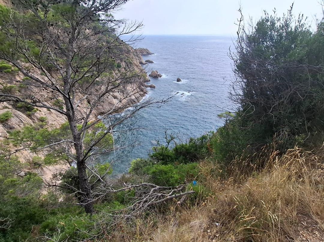 Cala Bona-多萨德马尔必去景点