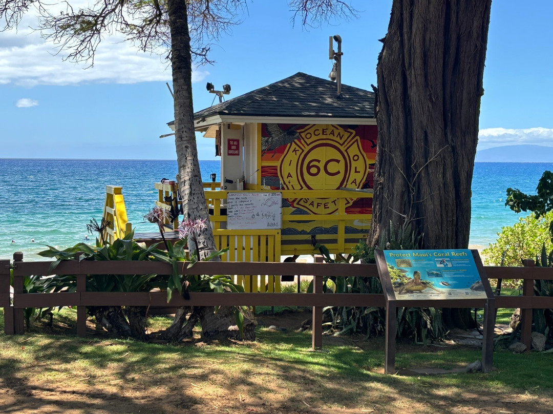 卡玛乐沙滩公园3-基黑必去景点