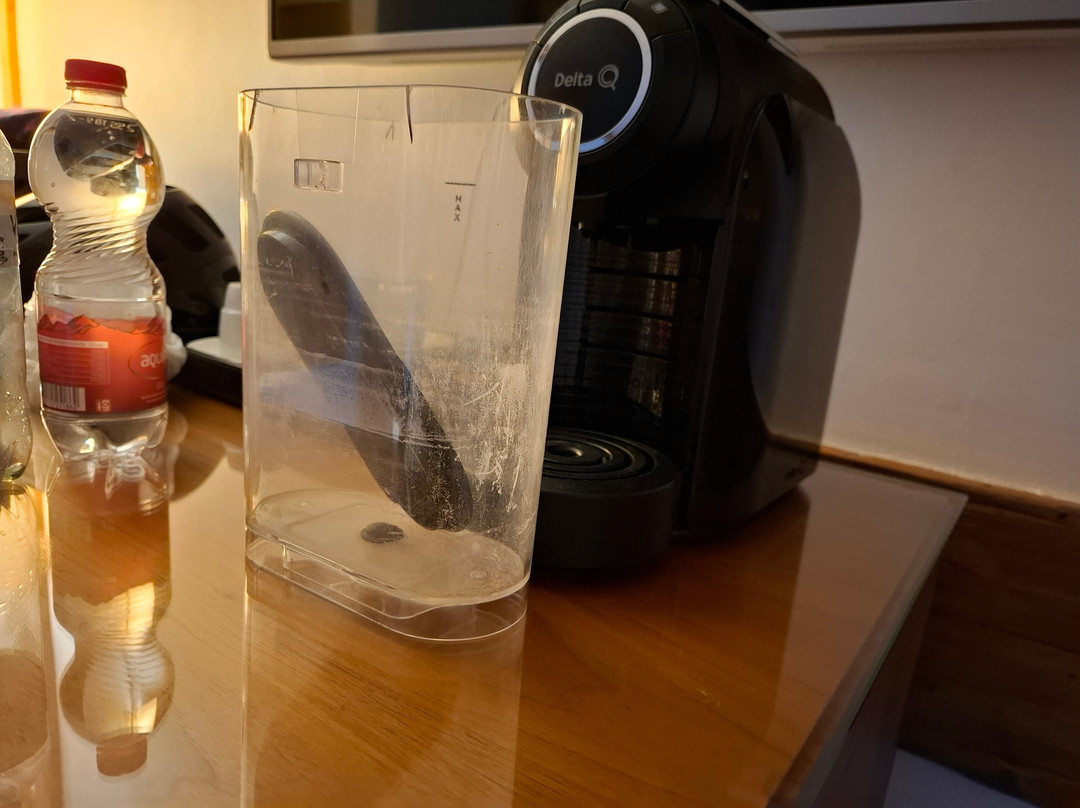 Hôtel de la Truite主图