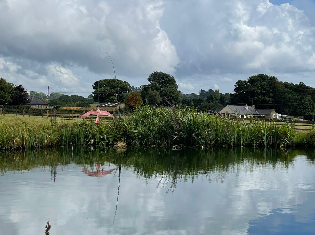 Foxholes Lake-Tansley必去景点