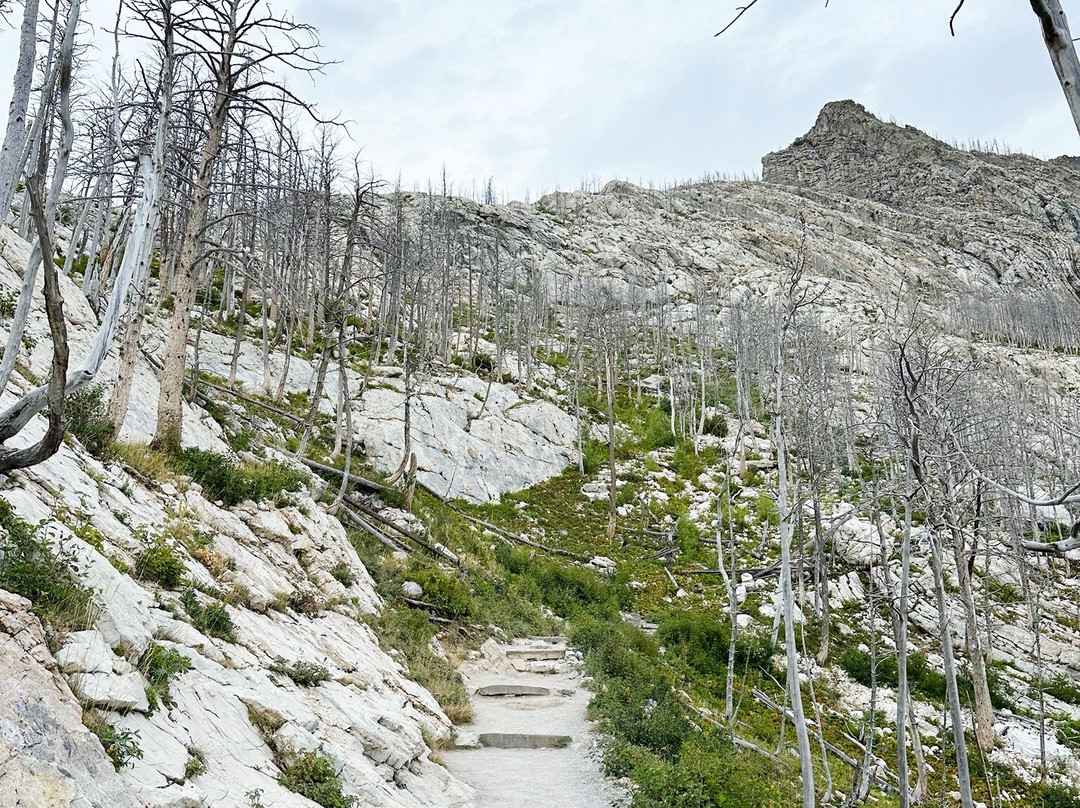 Bear's Hump-沃特顿湖国家公园必去景点