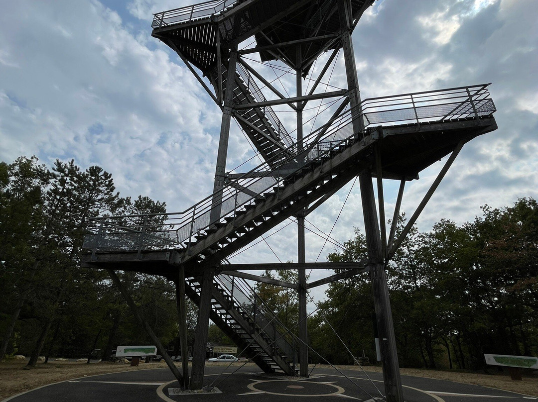 Tour Panoramique de Moncalou-Florimont-Gaumier必去景点