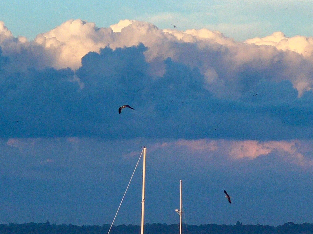 Newport Equestrian-米德尔敦必去景点