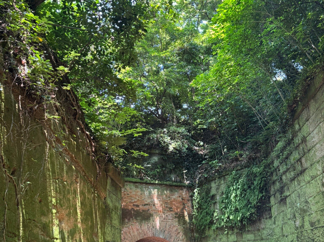 Sarushima Island (Monkey Island)-Saru-jima必去景点