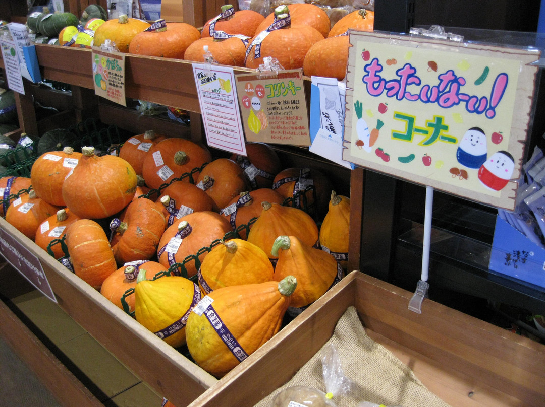 Michi-no-Eki Aizu Yugawa Aizubange-汤川村必去景点