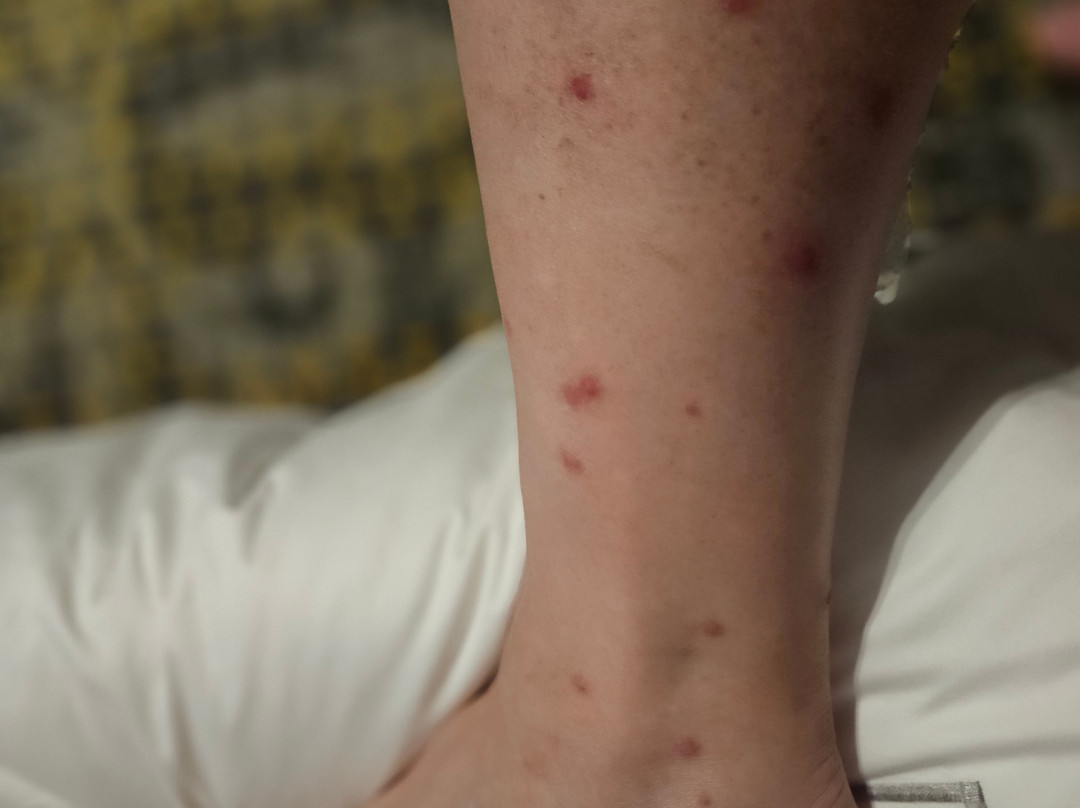 根特展会假日酒店主图