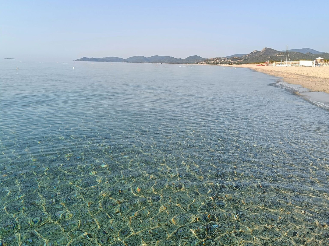 Marina Rey Beach Resort主图