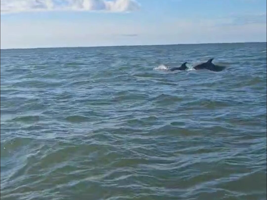 Myrtle Beach Watersports-美特尔海滩必去景点