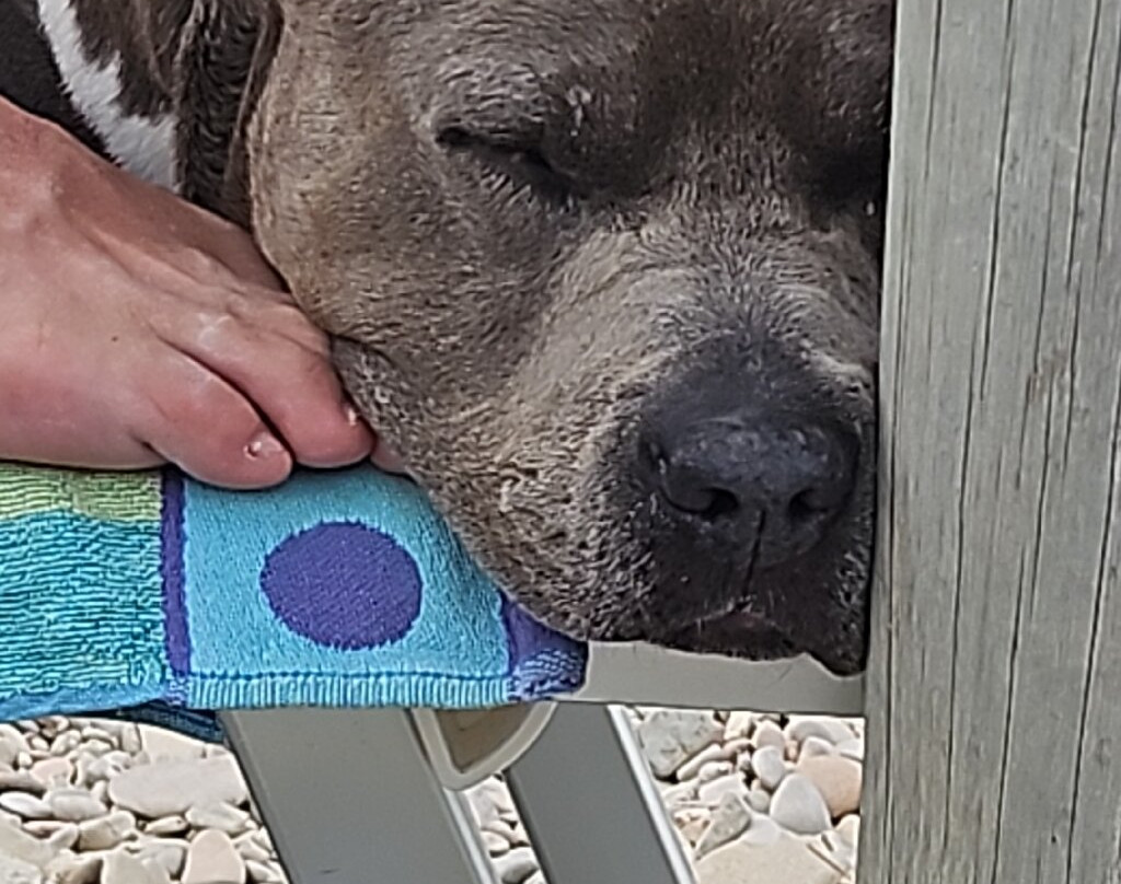 Baia Canaria-塞尼加利亚必去景点