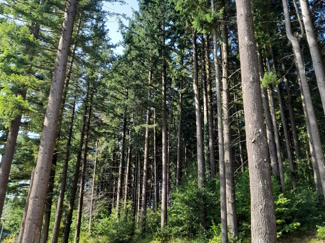 Chiesa di Santa Rita al Brasimone-Camugnano必去景点