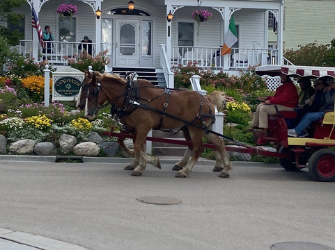 Cloghaun Bed and Breakfast主图