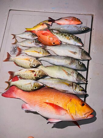 Kaani Grand Seaview主图