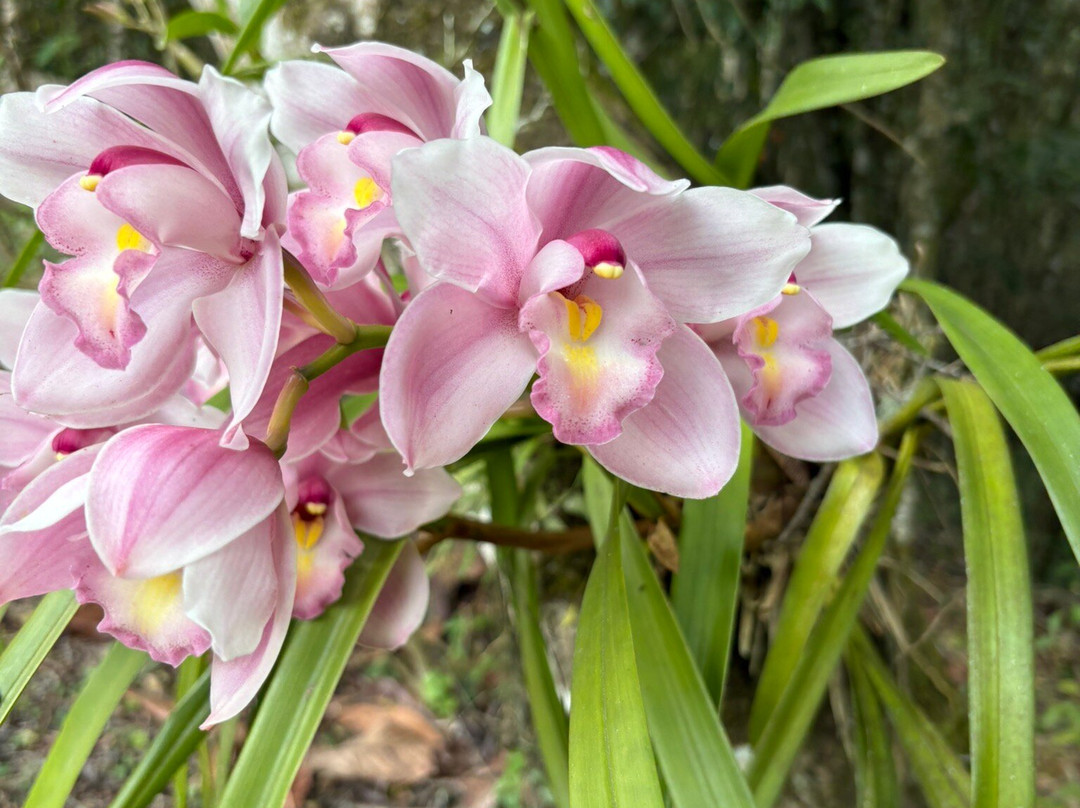 Meliponário Doce Paraíso