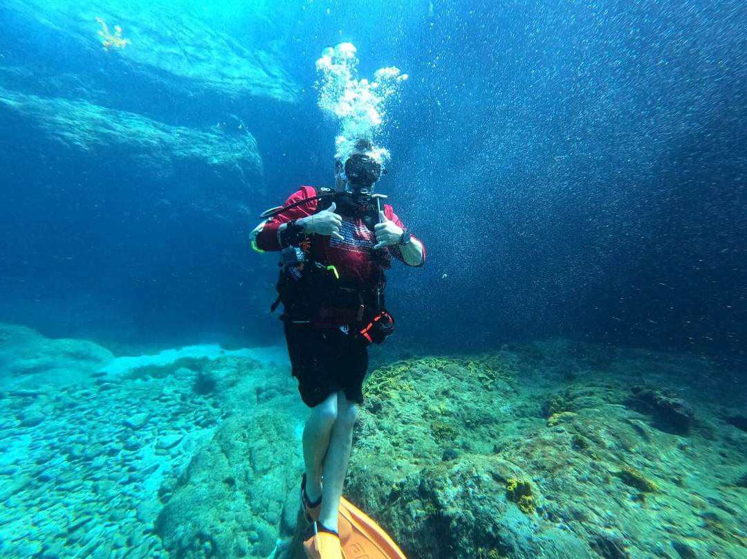 Aquatica Underwater Adventures-Aguadilla必去景点