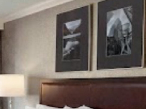 威斯丁卡尔加里酒店主图