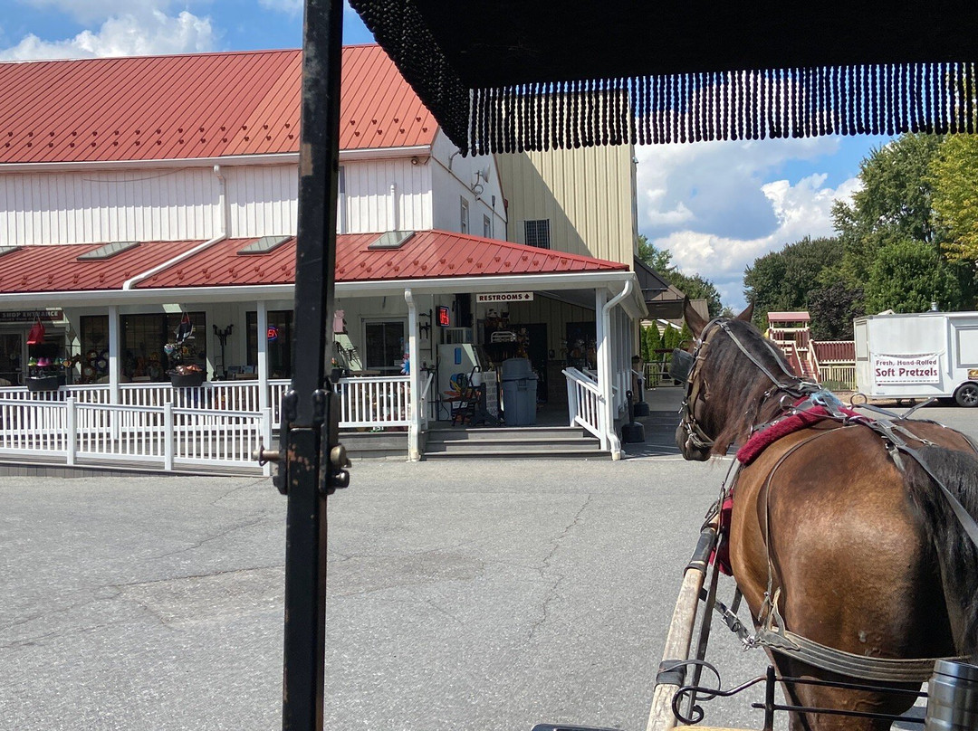 Abe's Buggy Rides-Bird in Hand必去景点