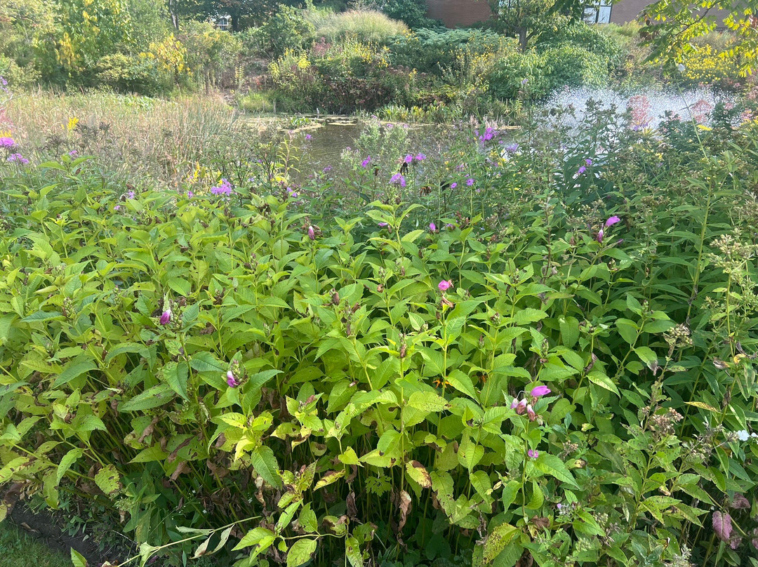 Holiday Inn Cleveland-Mayfield by IHG主图